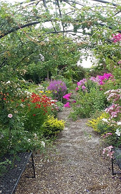 Die Gartenpfeifer Veenoord - Het Tuinpad Op / In Nachbars Garten