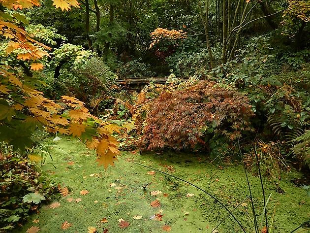 Garten der Stille Oldenburg - Het Tuinpad Op / In Nachbars Garten