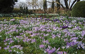 Vriescheloo: Frühlingskribbeln - Het Tuinpad Op / In Nachbars Garten