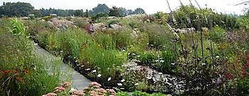 Vriescheloo: Biologische Stauden im Garten - Het Tuinpad Op / In Nachbars Garten