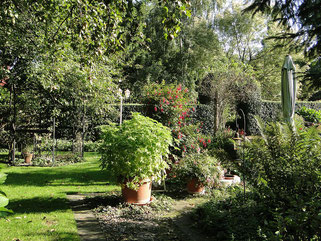 Papenburg: Herbst Laub Tage - Het Tuinpad Op / In Nachbars Garten