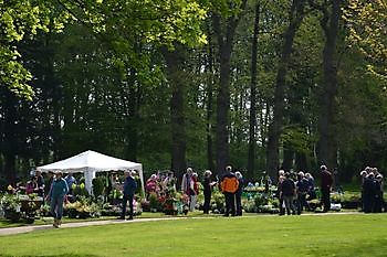Leer: Frühlingsfest begrüßt Musik im Park - Het Tuinpad Op / In Nachbars Garten