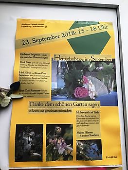Papenburg: Herbstlaubtage im September - Het Tuinpad Op / In Nachbars Garten