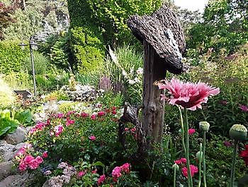 Geeste: Offener Gartentag - Het Tuinpad Op / In Nachbars Garten