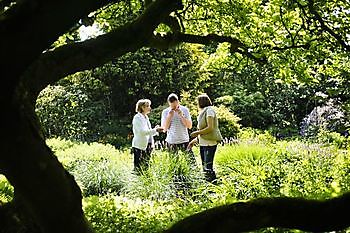 Edewecht-Jeddeloh: 20 Jahre Gartengenuss mit allen Sinnen - es wird weiter gefeiert - Het Tuinpad Op / In Nachbars Garten