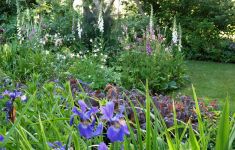 Winschoten Offene Gärten Estafette Groei & Bloei - Het Tuinpad Op / In Nachbars Garten