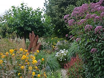 Meeden, Ziergräser und Spätsommerblütenmonat - Het Tuinpad Op / In Nachbars Garten