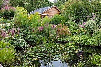 Offenes Gartenwochenende der Vechtdal-Gärten - Het Tuinpad Op / In Nachbars Garten