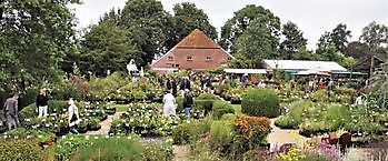 Meeden, Herbstpflanzenmarkt - Het Tuinpad Op / In Nachbars Garten