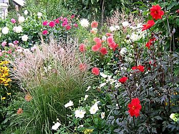 Aurich-Wiesens: Herbstliches Finale im Landhausgarten Knospe - Het Tuinpad Op / In Nachbars Garten