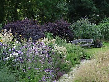 Leer: Gartenkultur - und Staudenmarkt - Het Tuinpad Op / In Nachbars Garten