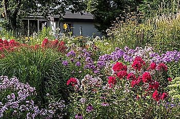 Ammerland: Tage des offenen Gartens - Het Tuinpad Op / In Nachbars Garten