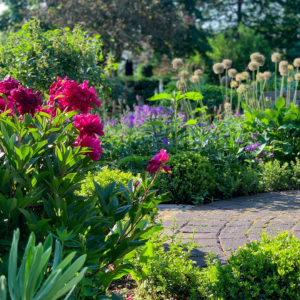 Friesoythe-Neuscharrel und Umgebung: Tag der offenen Gartenpforte - Het Tuinpad Op / In Nachbars Garten