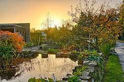 Bad Zwischenahn: „Herbstimpressionen im Park“ - Het Tuinpad Op / In Nachbars Garten