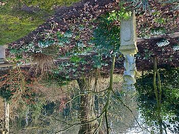 Aurich-Wiesens: Schneeglöckchentage - Het Tuinpad Op / In Nachbars Garten