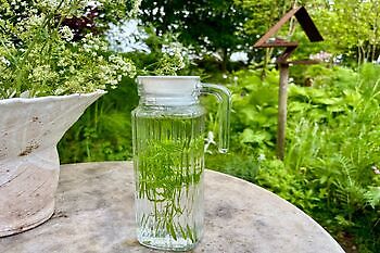 Rondwandeling langs eetbare planten en bloemen - Het Tuinpad Op / In Nachbars Garten