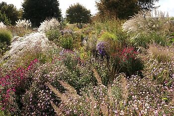 Vriescheloo, Saisonale Schließung - Het Tuinpad Op / In Nachbars Garten