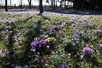 Termine für die Gartenmarathons 2016 - Het Tuinpad Op / In Nachbars Garten