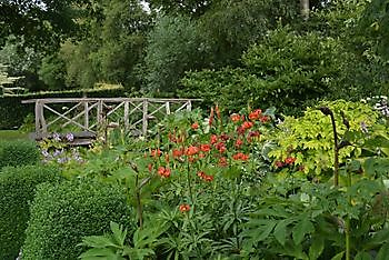 Contactdag HTO/ING - Het Tuinpad Op / In Nachbars Garten