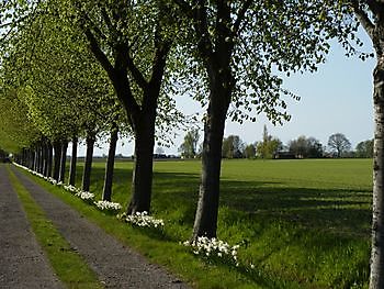  - Het Tuinpad Op / In Nachbars Garten