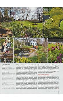 De Witte Wolk in Groei & Bloei - Het Tuinpad Op / In Nachbars Garten