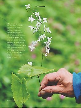 Elfjes kijken - Het Tuinpad Op / In Nachbars Garten