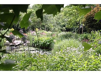 Tuinenmarathons 2021 & 2022 & 2023 - Het Tuinpad Op / In Nachbars Garten