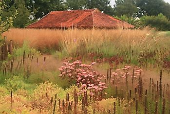 Lianne op TV in BinnensteBuiten - Het Tuinpad Op / In Nachbars Garten