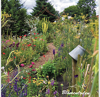  - Het Tuinpad Op / In Nachbars Garten