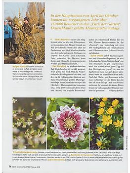 Winterblüte - Het Tuinpad Op / In Nachbars Garten