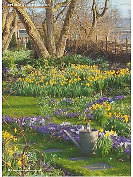  - Het Tuinpad Op / In Nachbars Garten