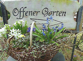 Offene Papenburger Gärten - Het Tuinpad Op / In Nachbars Garten