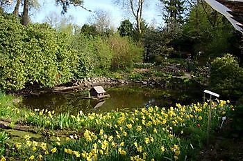 Open Papenburger tuinen - Het Tuinpad Op / In Nachbars Garten