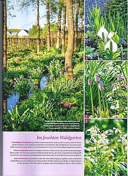 GartenFlora unterwegs: Rikas Raritätensammlung - Het Tuinpad Op / In Nachbars Garten