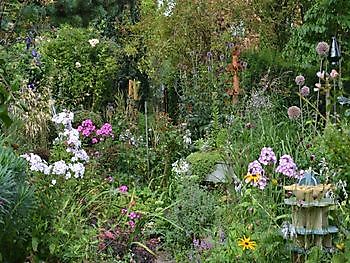 Reportage op www.parkstadveendam.nl - Het Tuinpad Op / In Nachbars Garten