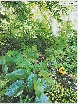 Blij van Blad - Het Tuinpad Op / In Nachbars Garten