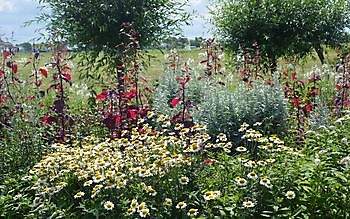 Sommerkontakttag 13. Juli 2019 - Het Tuinpad Op / In Nachbars Garten