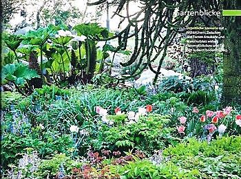  - Het Tuinpad Op / In Nachbars Garten