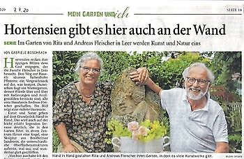 Hortensien gibt es hier auch an der Wand - Het Tuinpad Op / In Nachbars Garten