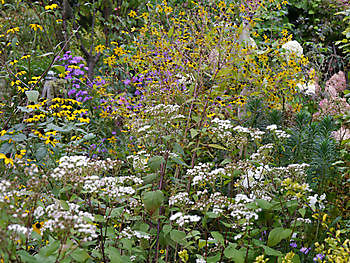  - Het Tuinpad Op / In Nachbars Garten