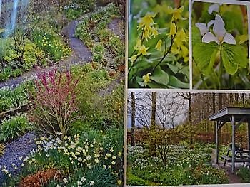 Slim plannen en lekker uitpakken - Het Tuinpad Op / In Nachbars Garten