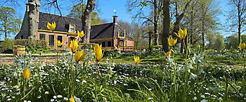  - Het Tuinpad Op / In Nachbars Garten