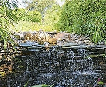 Schwimmteich in der Größe XXL - Het Tuinpad Op / In Nachbars Garten