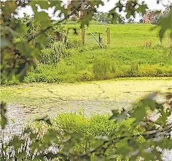 Lustwandeln im Philosophengang - Het Tuinpad Op / In Nachbars Garten