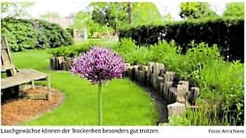  - Het Tuinpad Op / In Nachbars Garten