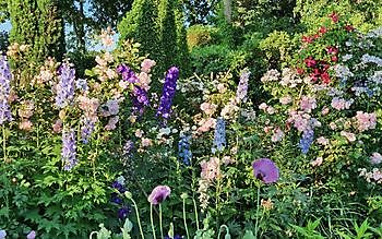  - Het Tuinpad Op / In Nachbars Garten