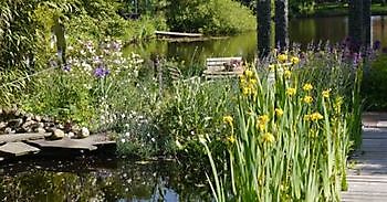 Wassergarten in Ostrhauderfehn - Het Tuinpad Op / In Nachbars Garten