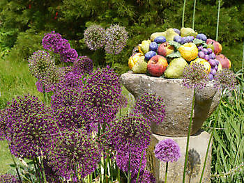 Der Garten hinter'm Deich - Het Tuinpad Op / In Nachbars Garten