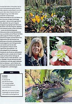 Ostfriesland Magazin - Het Tuinpad Op / In Nachbars Garten