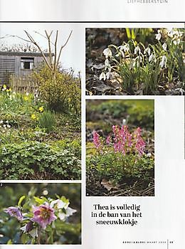 De Houstek in Groei & Bloei - Het Tuinpad Op / In Nachbars Garten